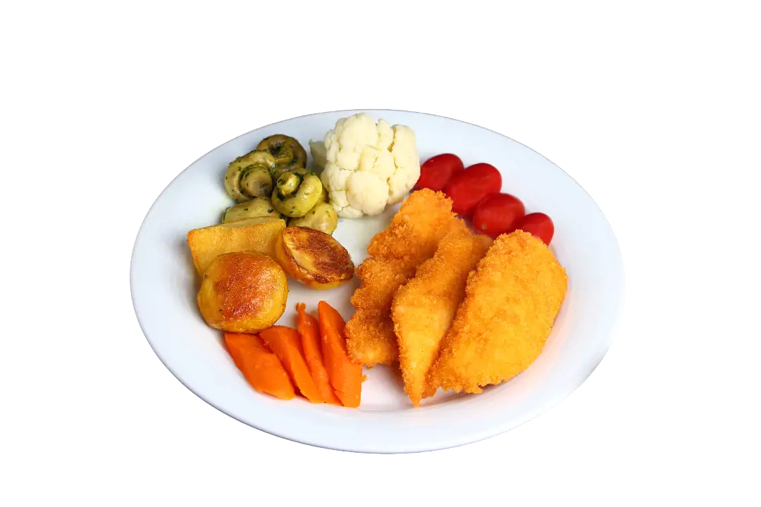 خوراک فیله مرغ سوخاری